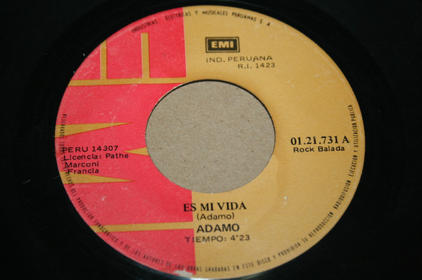Es Mi Vida / Mademoiselle Attendez - primary