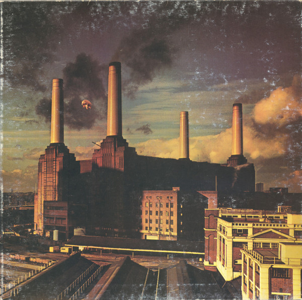 Animals - primary
